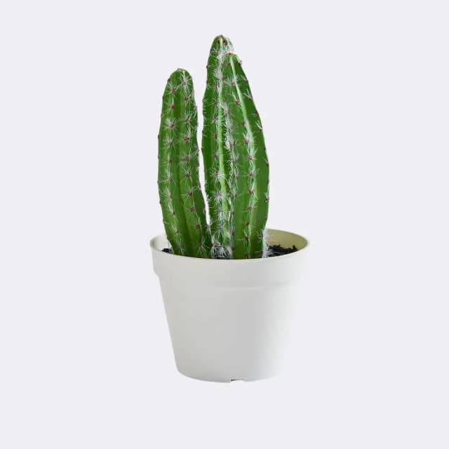 Faux Peanut Cactus